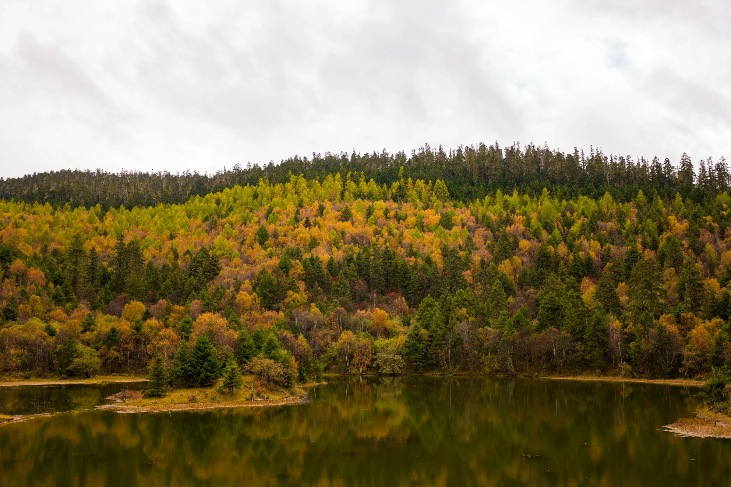 Forested hillside reflected in a calm lake